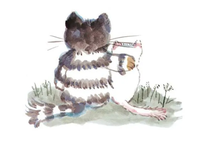 活了100万次的猫